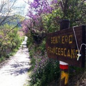 La Sosta B&B Stroncone Zewnętrze zdjęcie